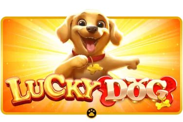 casino games